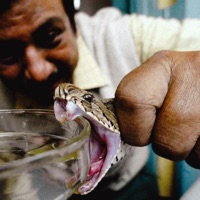 Pick Your Poison - Single - $hyyguyy