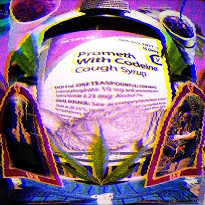 CHRONICLES OF THE BONG RIP (feat. Akuma777)