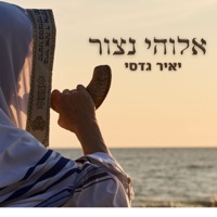 נצור לשוני - Single - Yair Gadassi