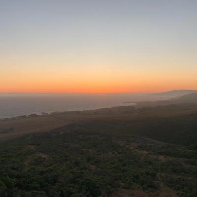 WITHOUT YOU (feat. Cole K) - Single