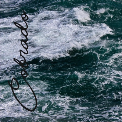 O Triângulo Veste Bermudas... - Single