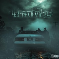 Necropolis (feat. Schizo) - Single - Unaverage Gang