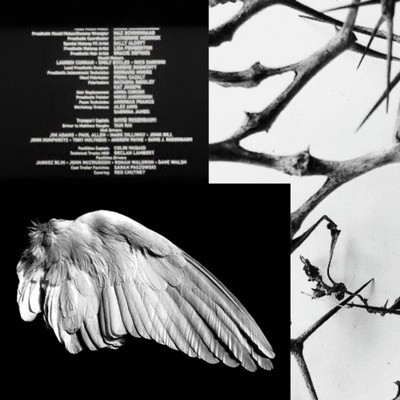 Schwarze Raben Freestyle - Single