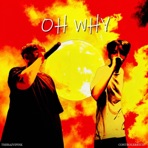 OH WHY (feat. Controlerbtch) - Single