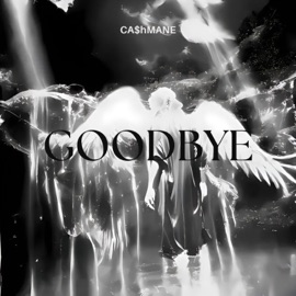 GOODBYE CA$hMANE