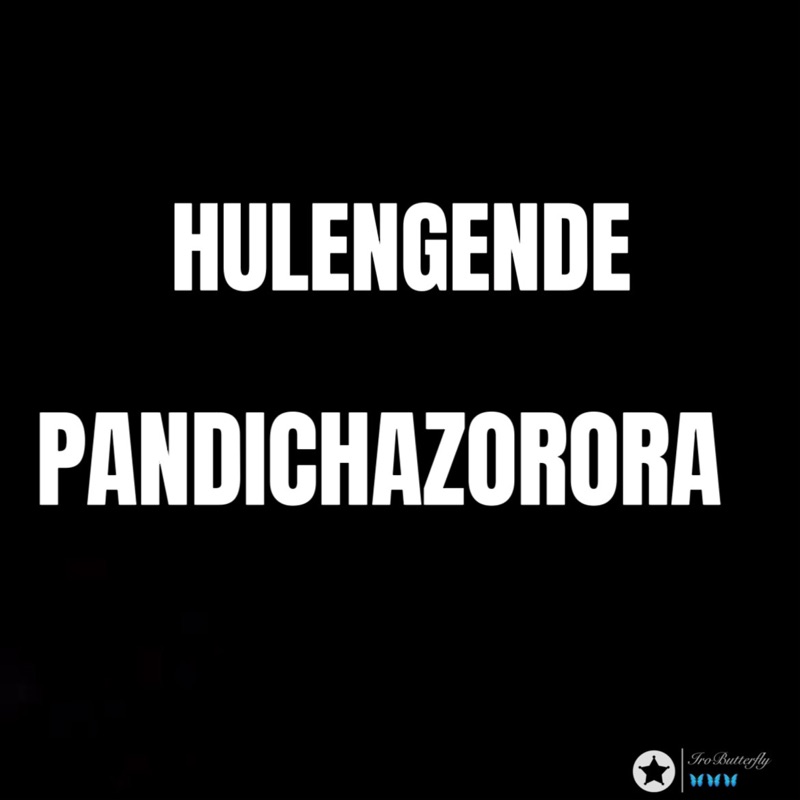 Pandichazorora