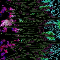 GRANDE VERDE - Single - fuckdisturbed