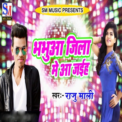 Bhabhuaa Jila Me Aa Jaih - Single