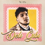 Deli Gibi - Single