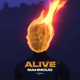 Alive Mahmoud