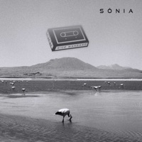 Sônia - Single - Rico Manzano