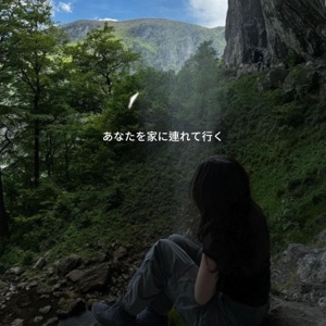 Take You Home - Single