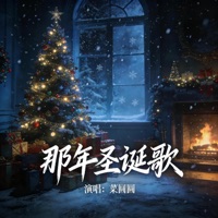 那年圣诞歌 - Single - 菜圆圆