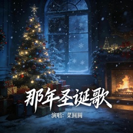 那年圣诞歌 (伴奏) 菜圆圆