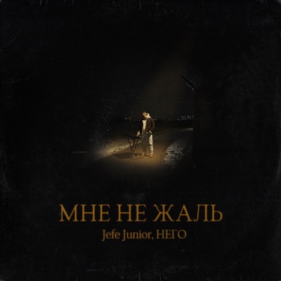 Мне не жаль - Single
