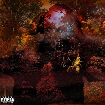 Everyone Loves The Fall - EP