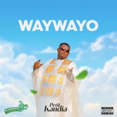 Way Wayo (Remix) artwork