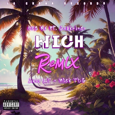 High (Remix) [feat. Joakoloco, Junn LT & Rick TDG] - Single