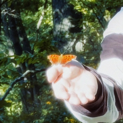 Butterfly World