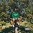 apple tree (feat. DEIY) [radio edit]