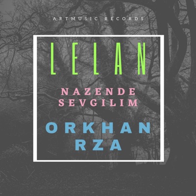 Nazende Sevgilim (feat. Orkhan Rza) - Single