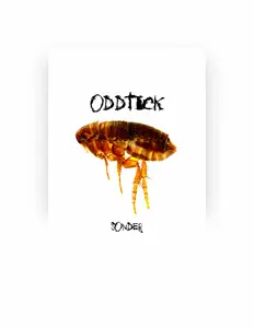 oddtickを聴いたり、ミュージックビデオを鑑賞したり、経歴やツアー日程などを確認したりしましょう！