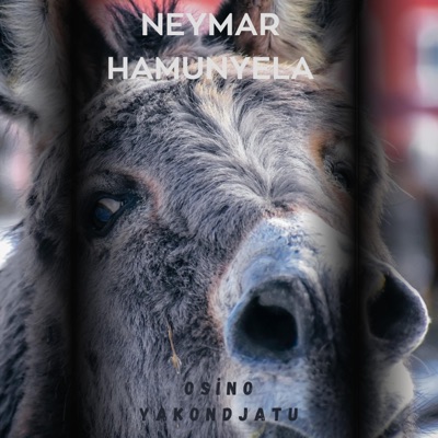 Neymar Hamunyela - Tjimbinondjo Kazao