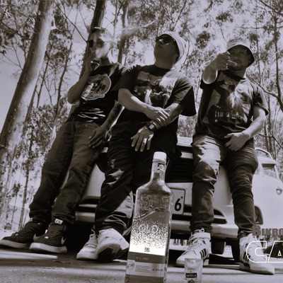 CAMINOS - Single