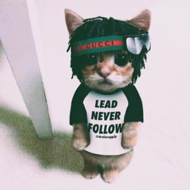 Love Flex Flex Luthor