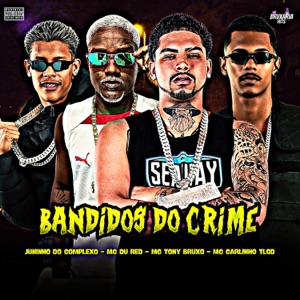 Bandidos do Crime (feat. Mc Carlinho Tlgd)