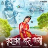 Vrindavan Bas Gayo (feat. Tushar Music & Sajna) - Single