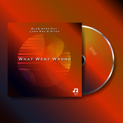 What Went Wrong - Single