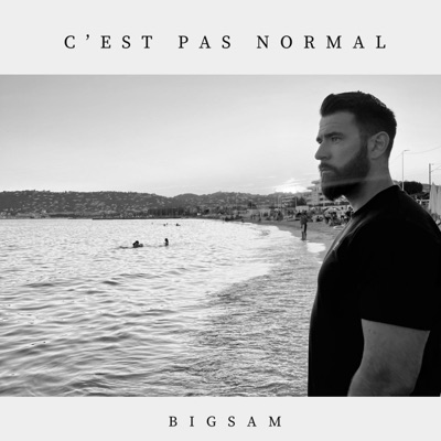 C'est pas Normal - Single
