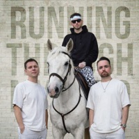 Running Through My Mind - Single - The Holy Santa Barbara & BASSMASSAGE