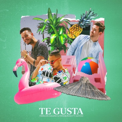 Te Gusta (feat. Guydo) - Single