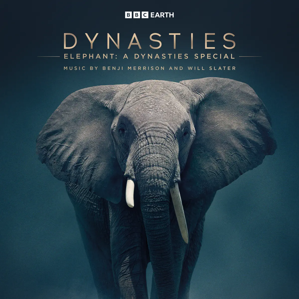 Benji Merrison & Will Slater - 王朝: 大象 Elephant: A Dynasties Special (Original Television Soundtrack) (2024) [iTunes Plus AAC M4A]-新房子