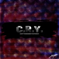 C.R.Y. - Single - JamesT