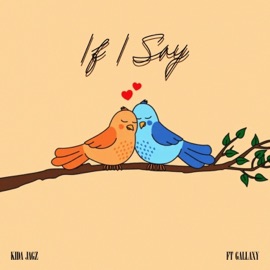 IF I SAY (feat. Gallaxy) Kida Jagz