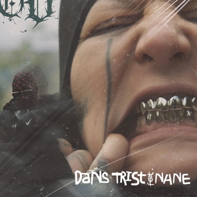 Dans Trist - Single