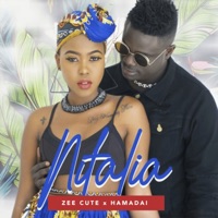 Nitalia (feat. Hamadai) - Single - Zee Cute