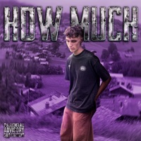 How Much (feat. Sane) - Single - DE PLUG