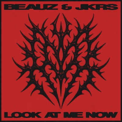 Look At Me Now (Extended Mix) - Single