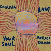 Your Soul artwork