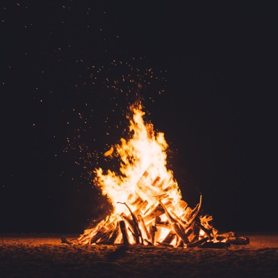 things we left behind in the fire