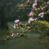 Spring Days