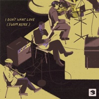 I Don’t Want Love (Swum Remix) - Single - Psalm Trees & ALEXANDER