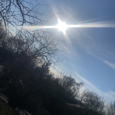 Wont Stress - Single