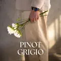 Pinot Grigio