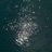 SHADOWFLOW