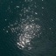 SHADOWFLOW - Single